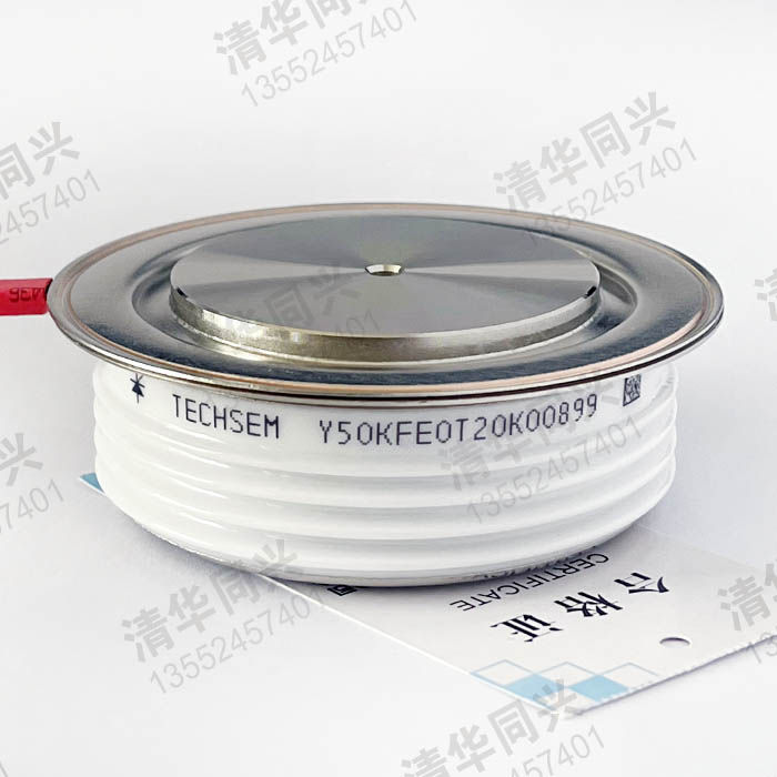 Y50KFE0T20K00899 TECHSEM湖北台基 销售电话：13552457401